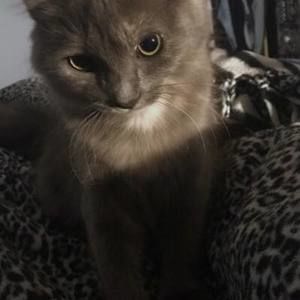 Meet your Posher, Anna-marie